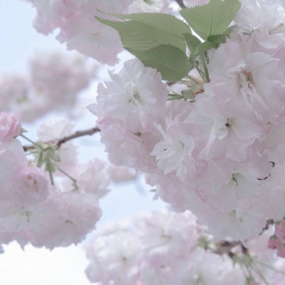 Furry插画氛围技巧福瑞群